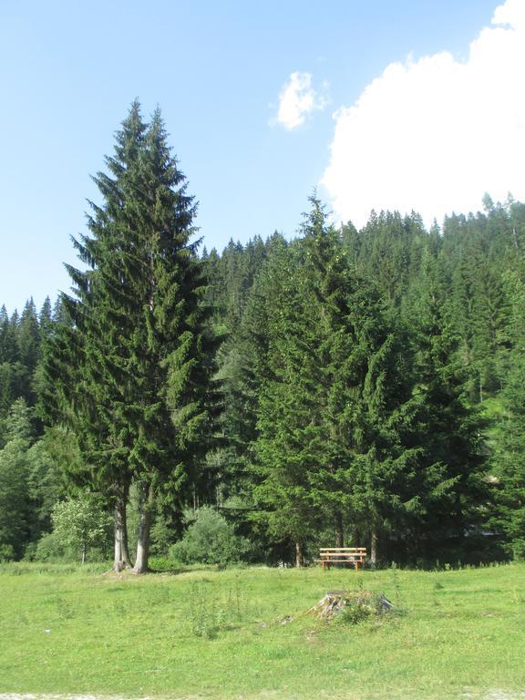 Schwarzenbacher Lungötz Cameră foto