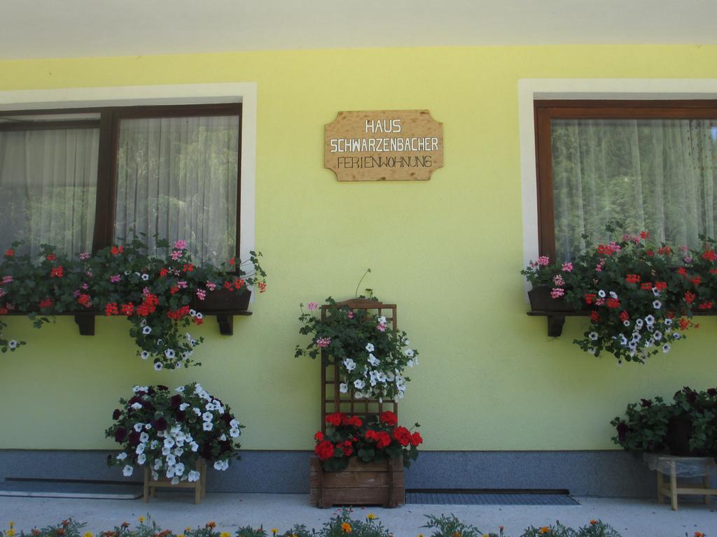 Schwarzenbacher Lungötz Cameră foto