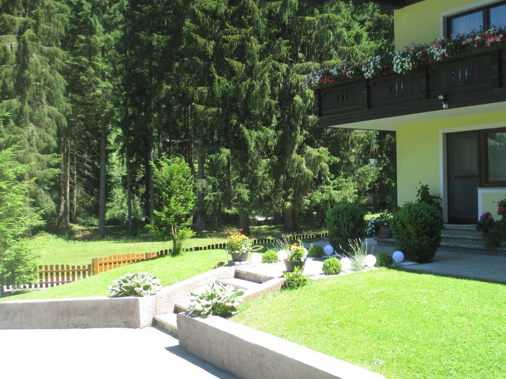 Schwarzenbacher Lungötz Cameră foto